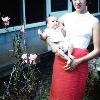 Photo of Jeanine VanKerckhove